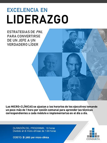 EXCELENCIA EN LIDERAZGO - BROCHURE.jpg