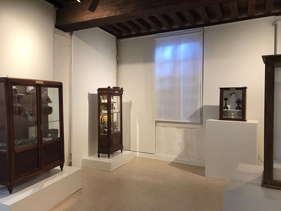 2-Musée du tabac-Bergerac-vue générale de la salle des curiosités