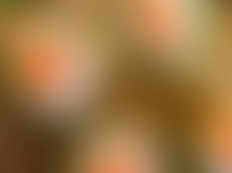 Salmon Cucumber Bites