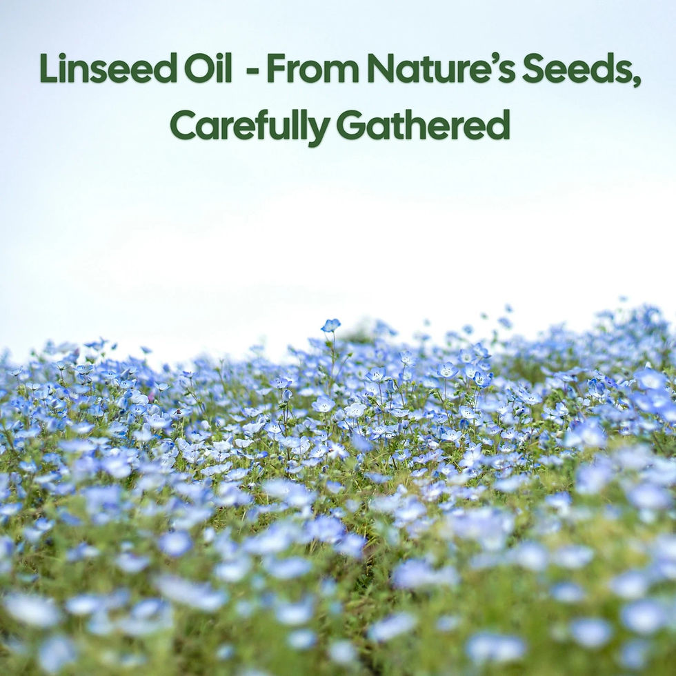 Thumbnail: Boiled Linseed Oil