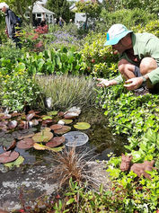Visiting Jeff's garden