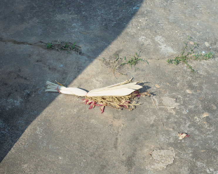 6I9A7702 copy 2 WBadjustment.jpg