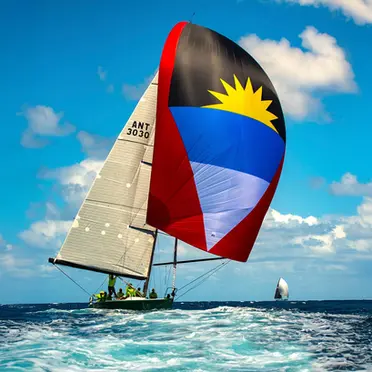 Introducing the Antigua Racing Cup