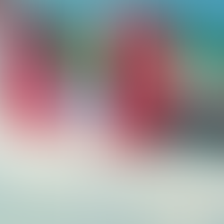 Antigua and Barbuda Embassy Mobilizes Consular Support in the UAE