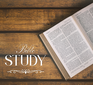 Bible (Instagram Post).png