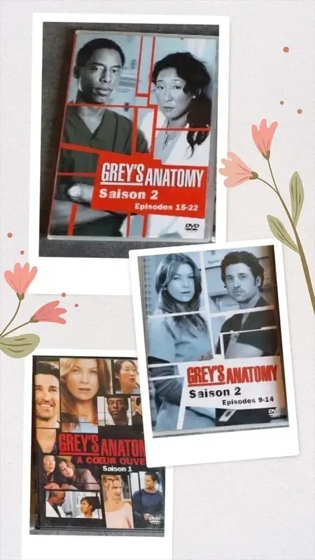 Miniature : Lot DVD Greys Anatomy 