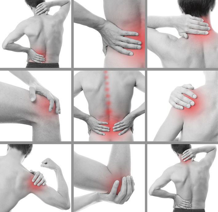 Spine and Joint.jpg