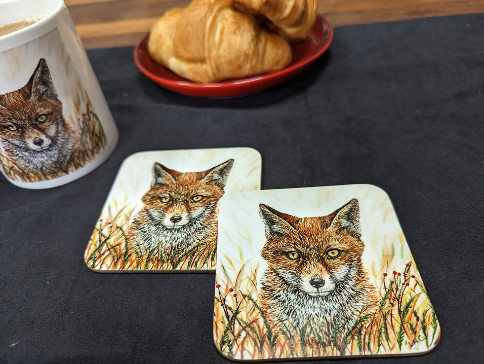 Fox Coaster - Individual