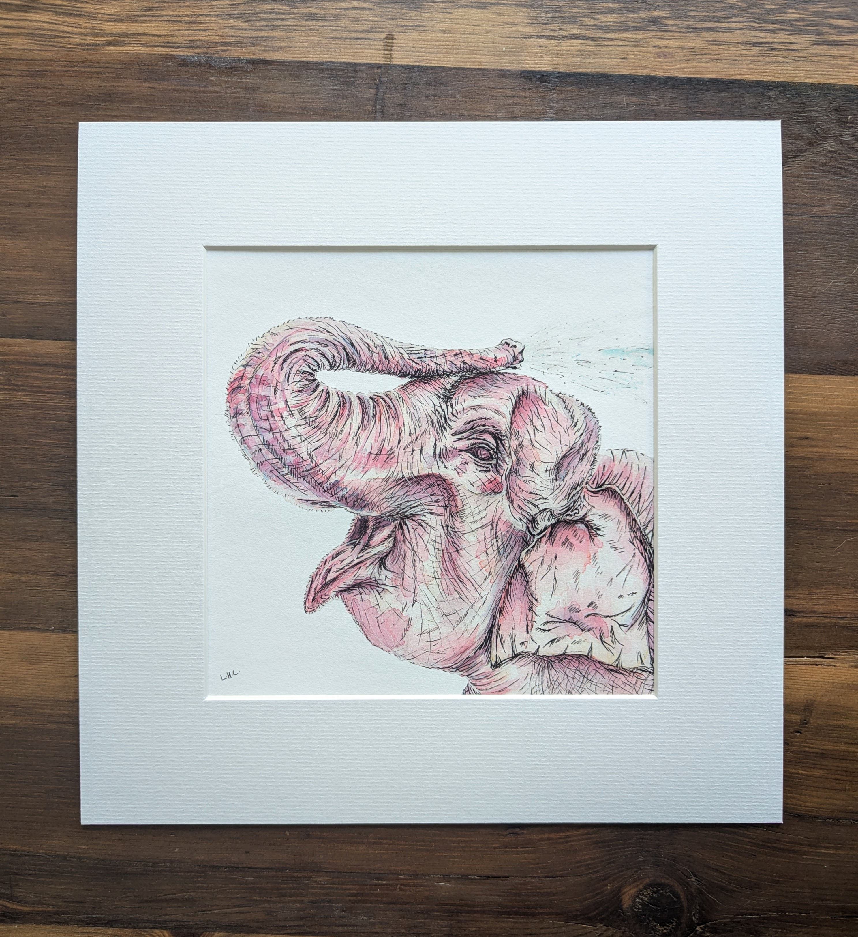 The Elephant Illustration - Mounted Giclée Print