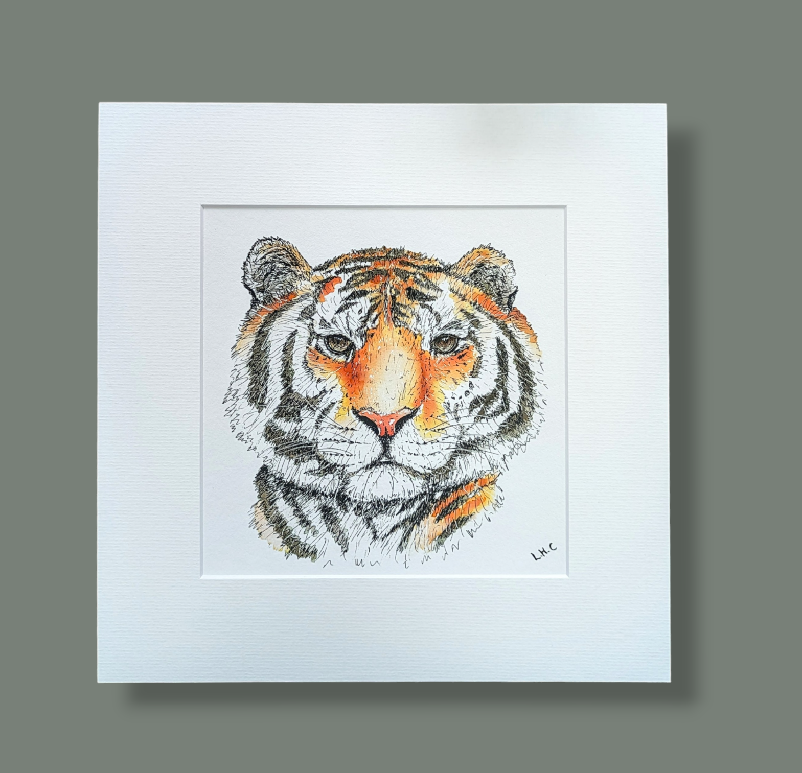 The Tiger Illustration - Mounted Giclée Print
