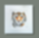 The Tiger Illustration - Mounted Giclée Print