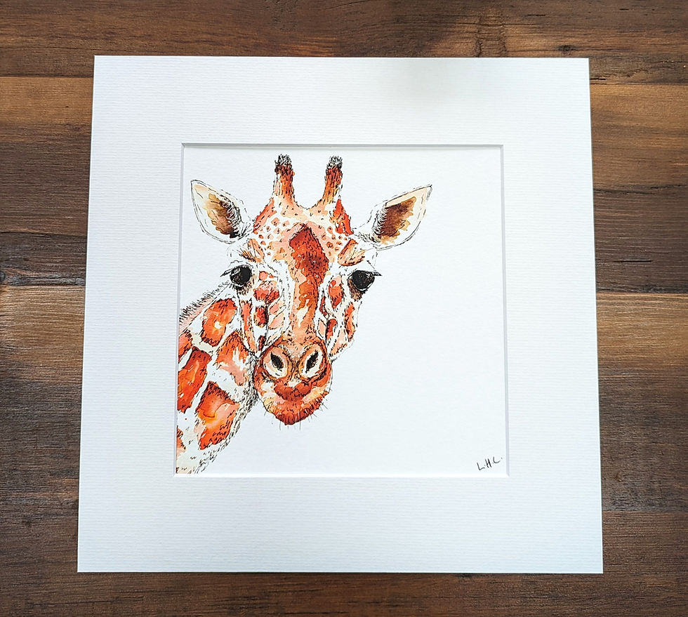 Thumbnail: The Giraffe Illustration - Mounted Giclée Print