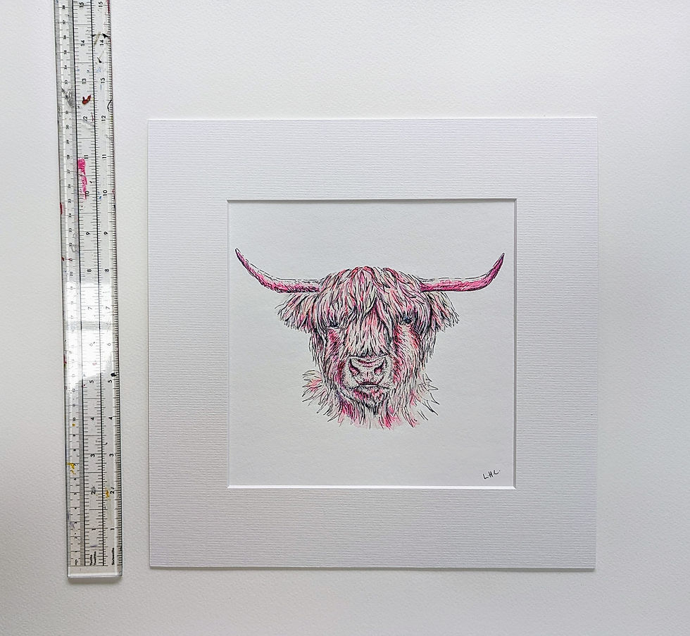 Thumbnail: The Highland Cow Illustration - Mounted Giclée Print - Traditional or Pink