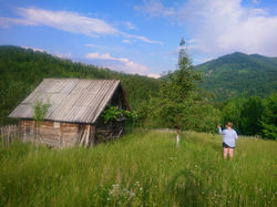 Environment