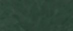 BG_leaves.jpg