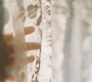 Morning Light