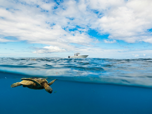 While Boating, All Eyes On The Water!
