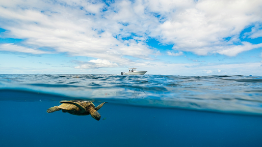 While Boating,  All Eyes  On The Water!