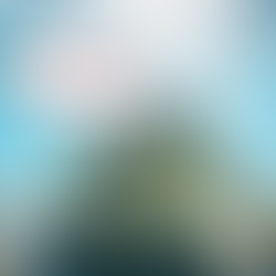 Why Do Sea Turtles Matter to Florida’s Ecosystem?