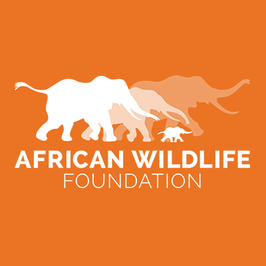 African Wildlife Foundation