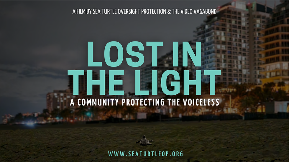 Lost in the Light- film premiere, presented by Sea Turtle Oversight Protection