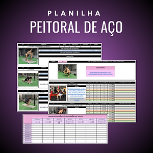 Peitoral de Aço.png