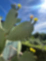 IMG_5875.jpeg