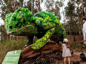 How Bengaluru’s Zero-Waste Festival Is Turning Music Into a Climate Movement