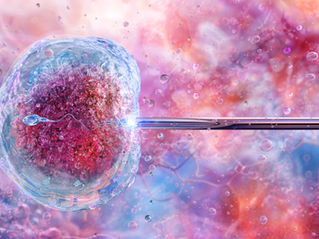 The New EMBRY: One Platform for the Lab, the AI, and the Patient Journey