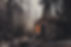 pexels-spencer-selover-428427.jpg