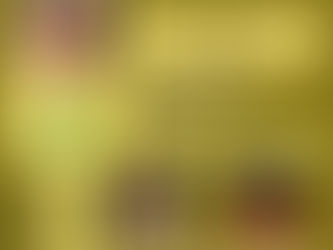 ANG Bahia sempre em Ação