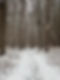 IMG_6149.jpeg