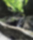 IMG_6253.jpeg
