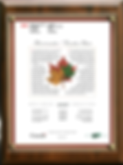 Epinex-G1A-Glycated Albumin-Monthly Diabetes Test