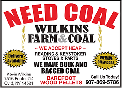 Wilkins.png