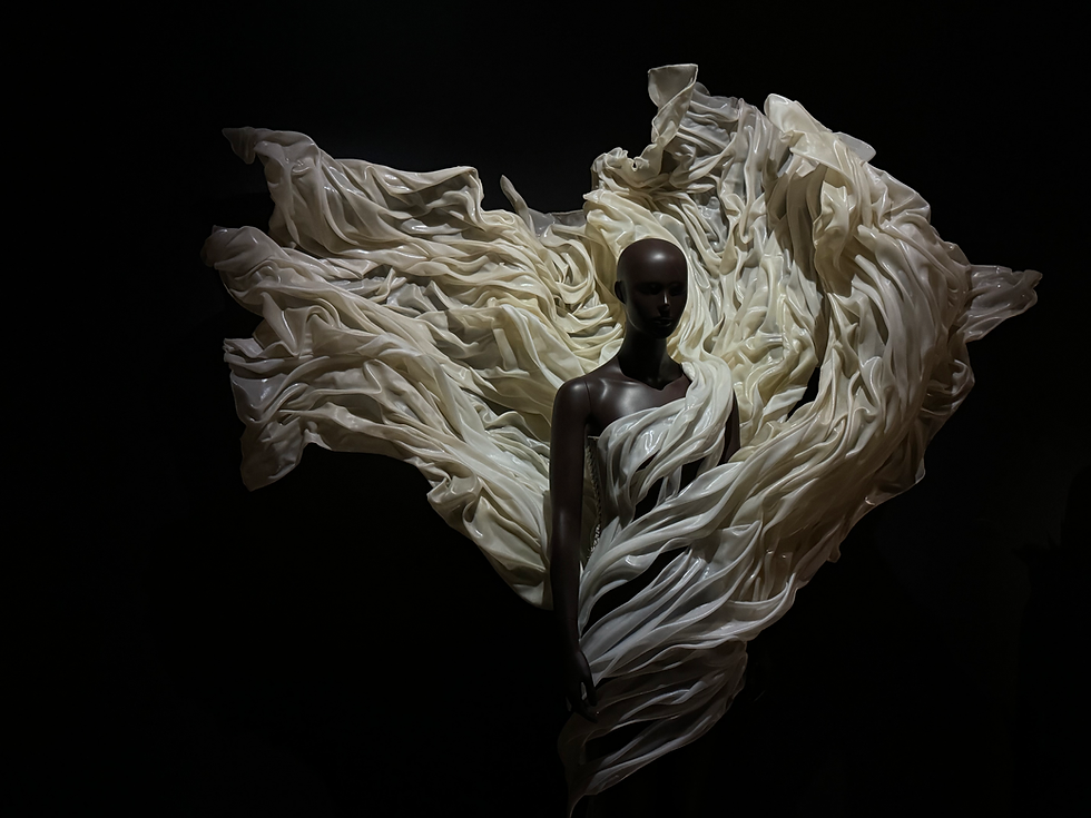 From the Iris Van Herpen Exhibition