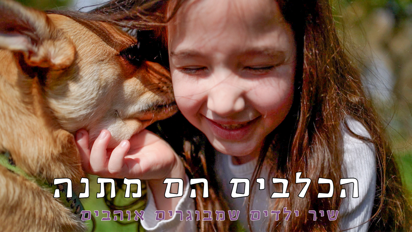 דוגזון