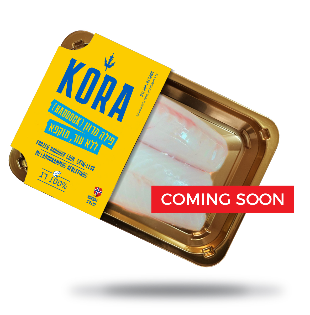 פילה מרוון ללא עור (HADDOCK), מוקפא- בקרוב