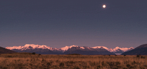 tumblr_ntf36pInAL1tchrkco1_500