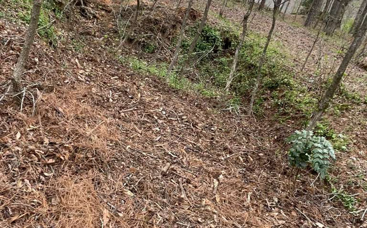 Yard debris completely removed and property cleared in Cumming, GA near Matt Highway and GA-369 after full load haul away