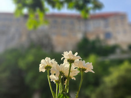 9. Nádech a výdech