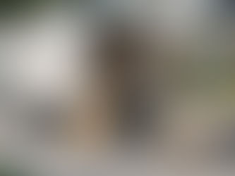 What Items Will Movers Not Transport?