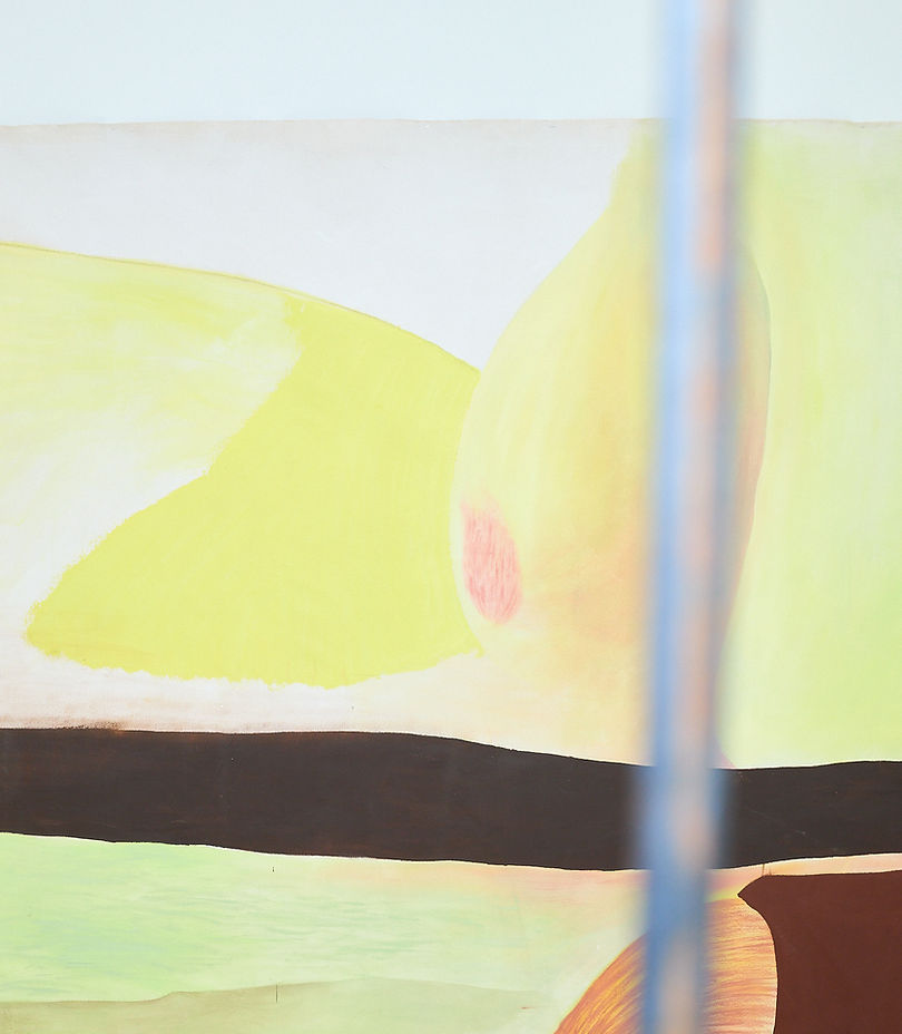 Painting from my mid exhibition at Bezalel Academy called ''Espace Maison''