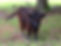 image10.jpeg
