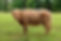 image7.jpeg