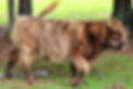 image12 (1).jpeg