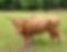 image6.jpeg