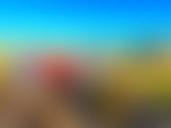 Washingtonville's is Getting A New Chance To Save Its Southern Gateway