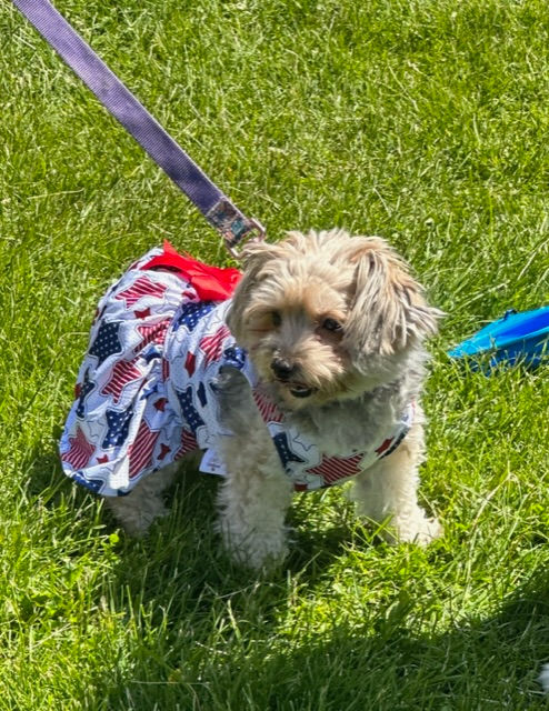 This pup, dressed to perfection, seemed to know it was an impartant part of the Event.