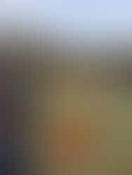 Courier Journal Choice of Athletes of Fall, 2025 is Lola & Gunner Rofer-Moye